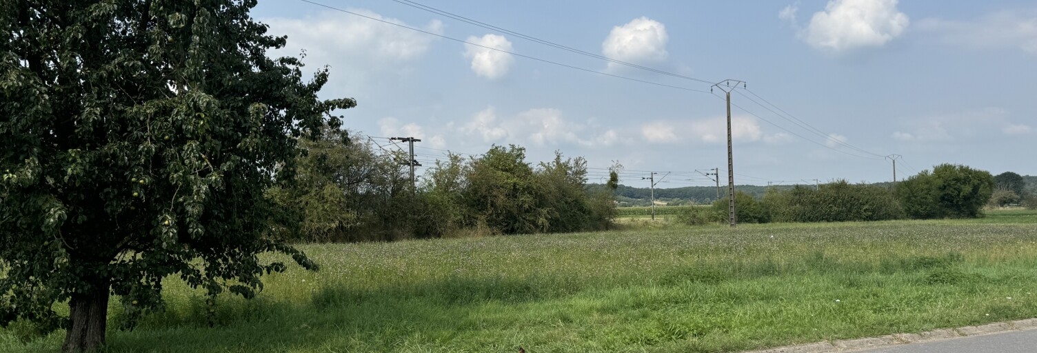 Terrain  1619 m² à vendre à Freistroff (57320)