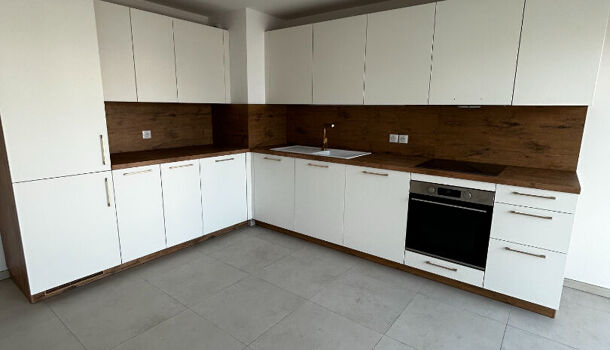 Appartement 2 pièces  à louer Marseille 8eme 13008