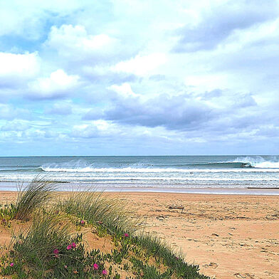 Appartement 3 pièces 228000 €