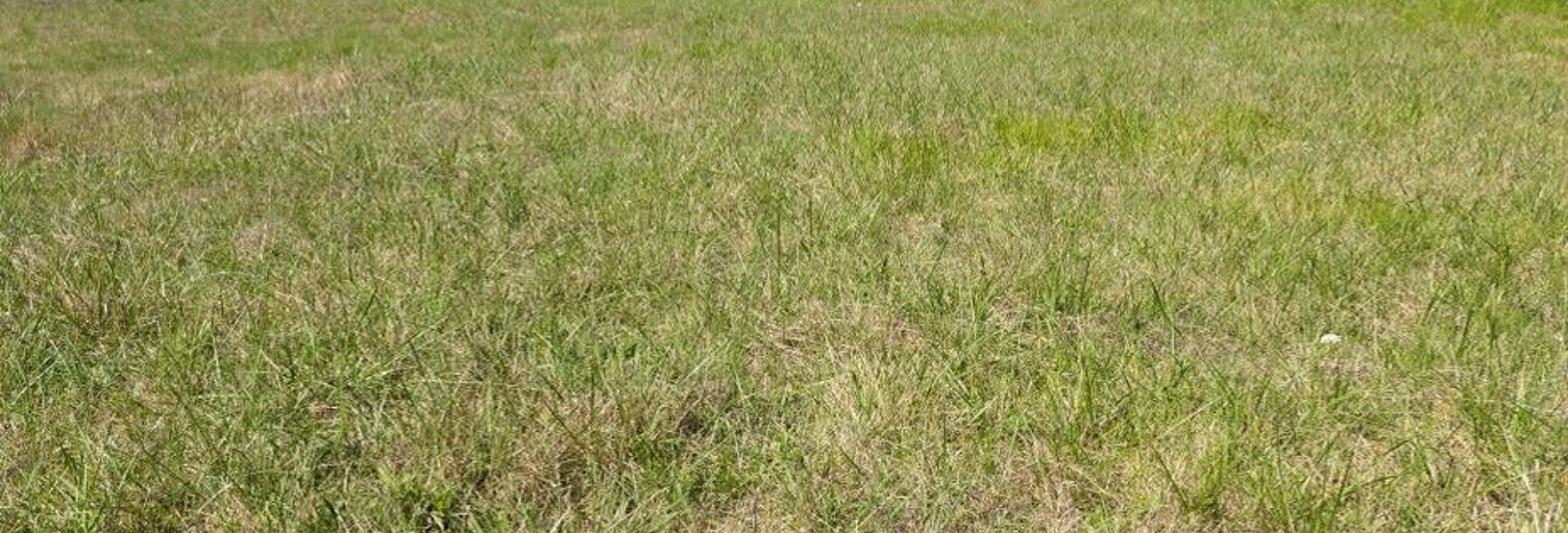 Terrain  2000 m² à vendre à Saint-Hilaire-de-Lusignan (47450)