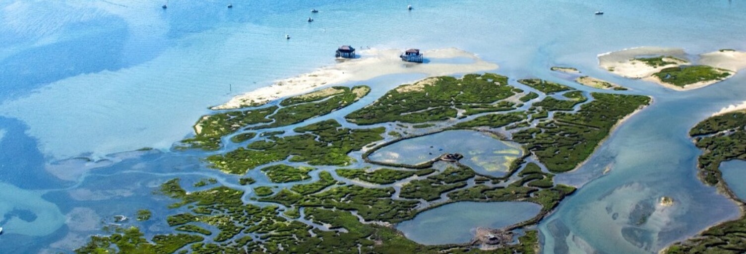 Terrain  340 m² à vendre à Biganos (33380)