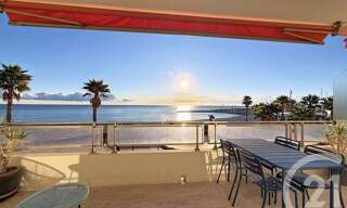 Appartement 1 Pièce 33 m² à louer à Villeneuve-Loubet (06270)