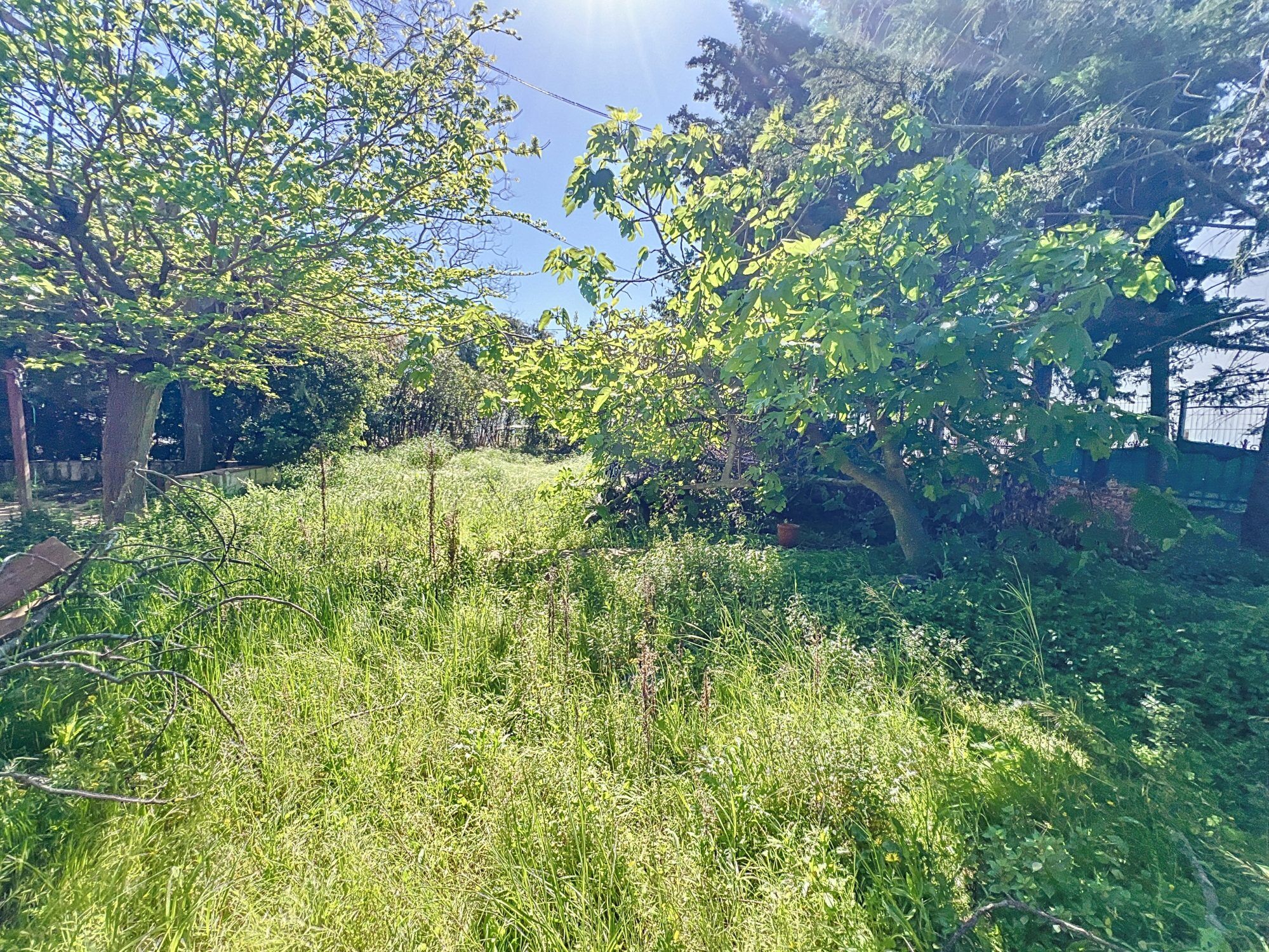 Agence immobilière de Sajatim