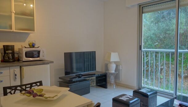 Appartement 2 pièces  à louer Ajaccio 20000