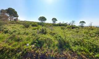 Terrain  1388 m² à vendre à Loupian (34140)