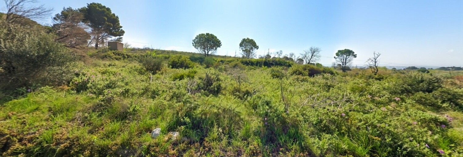 Terrain  1388 m² à vendre à Loupian (34140)