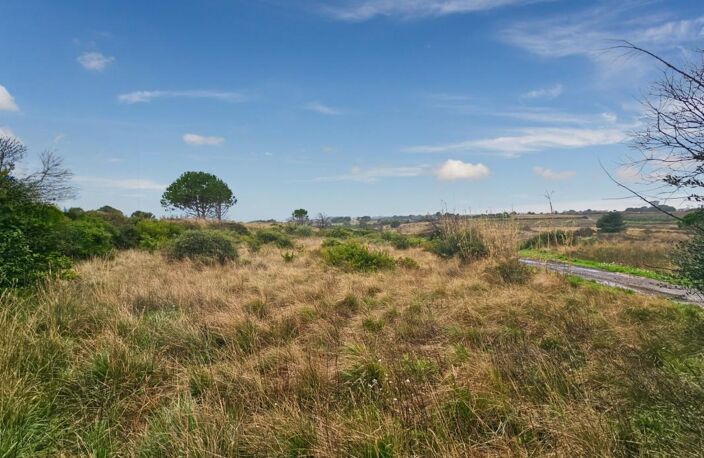 À Vendre - à Loupian - Terrain agricole de 1388m² — photo 2