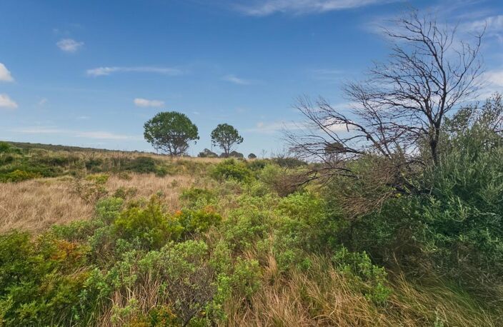 À Vendre - à Loupian - Terrain agricole de 1388m² — photo 3