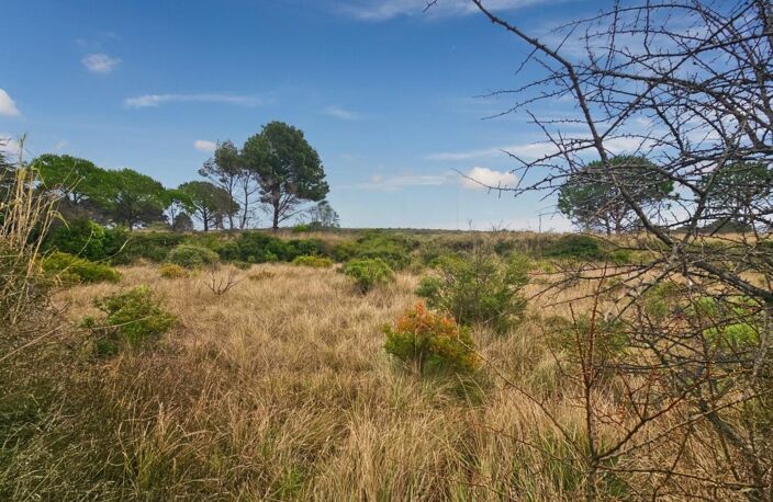 À Vendre - à Loupian - Terrain agricole de 1388m² — photo 4