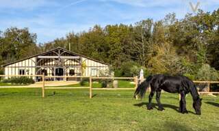 Commerce 6 Pièces 250 m² à vendre à Thézac (47370)