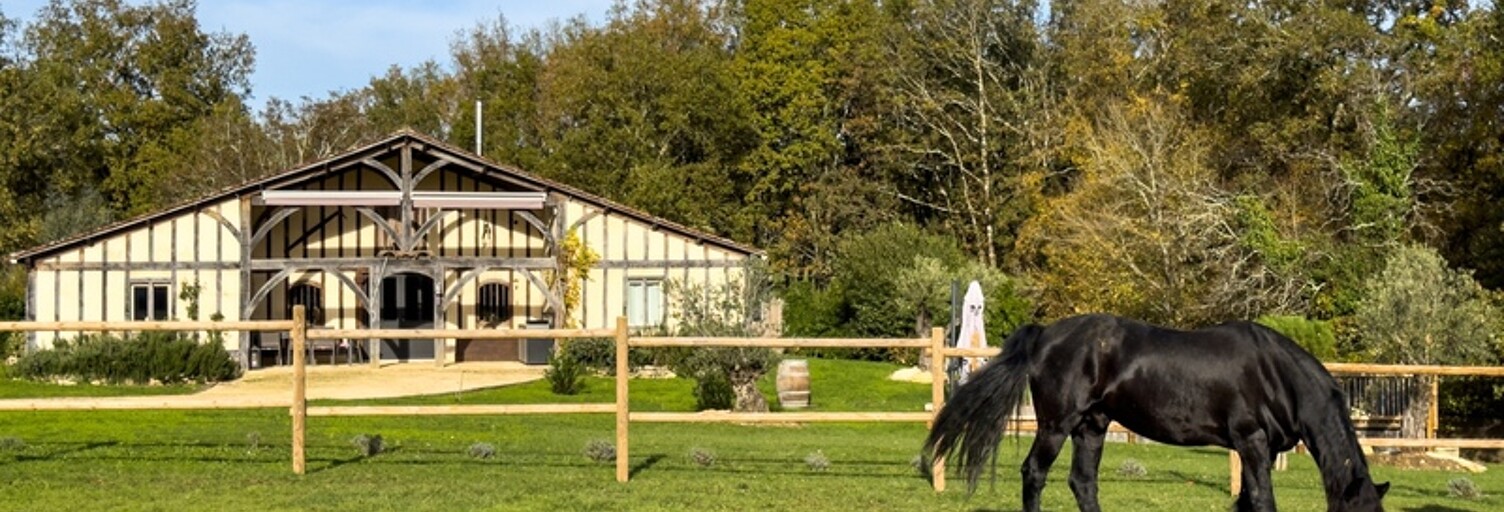 Commerce 6 Pièces 250 m² à vendre à Thézac (47370)