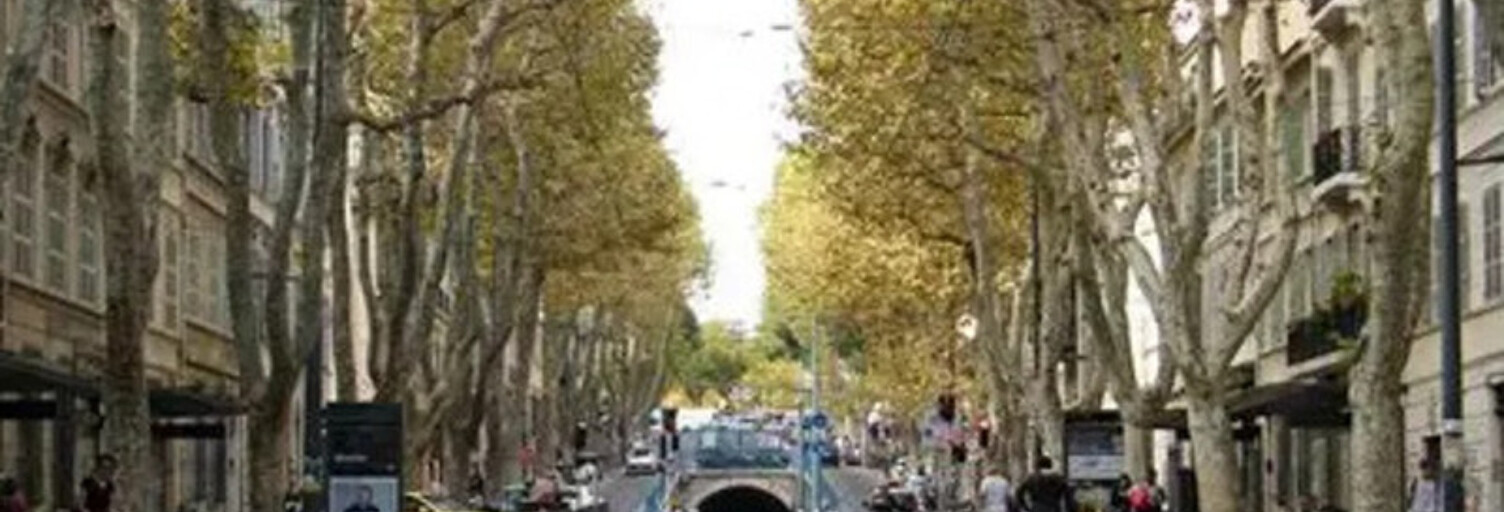 Appartement 2 Pièces 50 m² à vendre à Marseille 5 (13005)