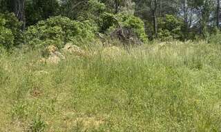 Terrain 2200 m² à construire Saint-Maximin-la-Sainte-Baume (83470)