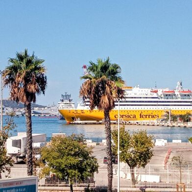 Appartement 2 pièces 590 €