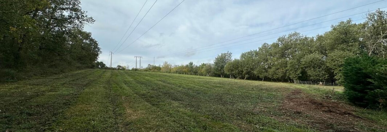 Terrain  10658 m² à vendre à Muret (31600)