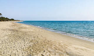 Appartement 3 Pièces 45 m² à vendre à Linguizzetta (20230)