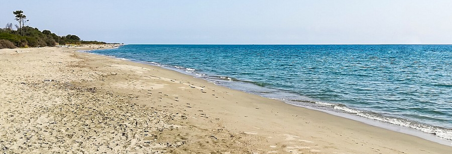 Appartement 3 Pièces 45 m² à vendre à Linguizzetta (20230)