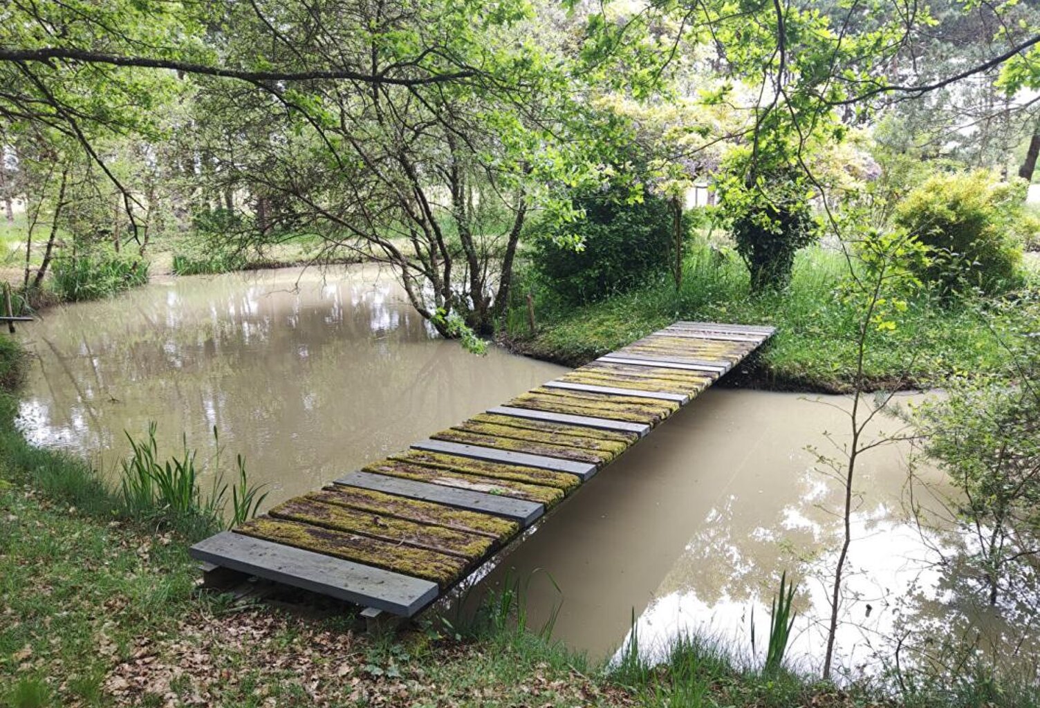 Terrain de chasse et de loisirs Mignaloux Beauvoir — photo 1