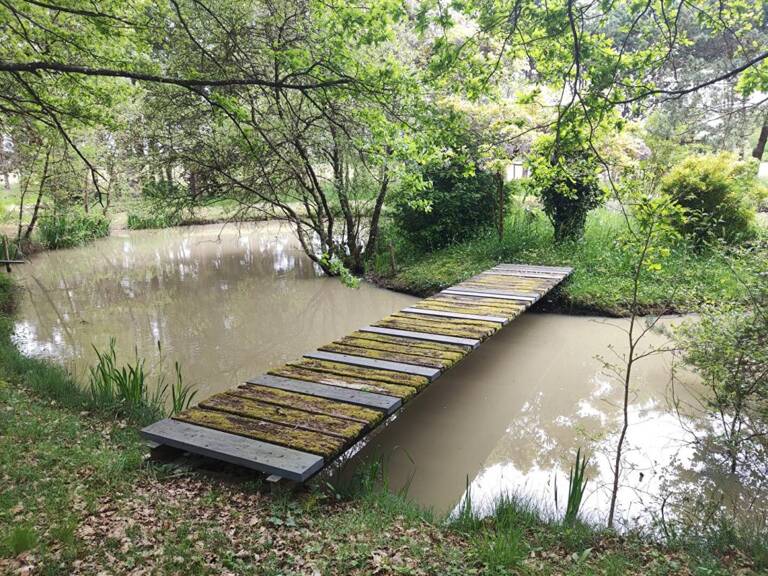 Terrain de chasse et de loisirs Mignaloux Beauvoir — photo 1