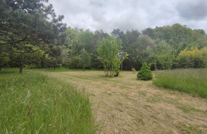 Terrain de chasse et de loisirs Mignaloux Beauvoir — photo 4