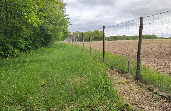 Terrain de chasse et de loisirs Mignaloux Beauvoir — photo 5
