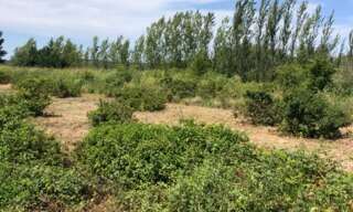 Maison  1900 m² à vendre à Saint-Hilaire-d'Ozilhan (30210)