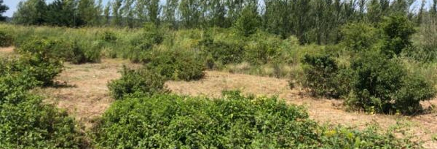 Maison  1900 m² à vendre à Saint-Hilaire-d'Ozilhan (30210)