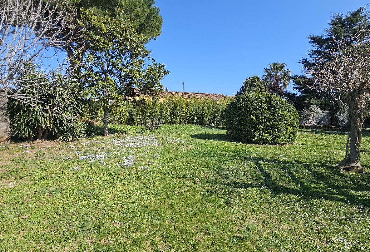 Vente terrain  609 m² Gigean (34770) — photo 1