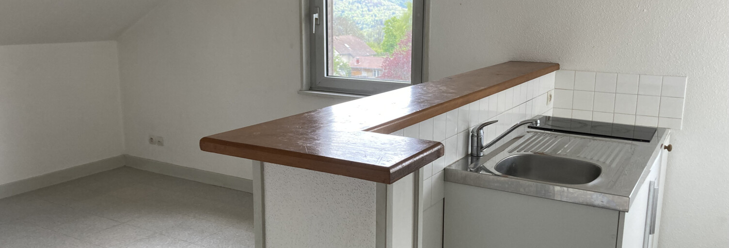 Appartement 1 Pièce 20 m² à louer à Coteaux du Lizon (39170)