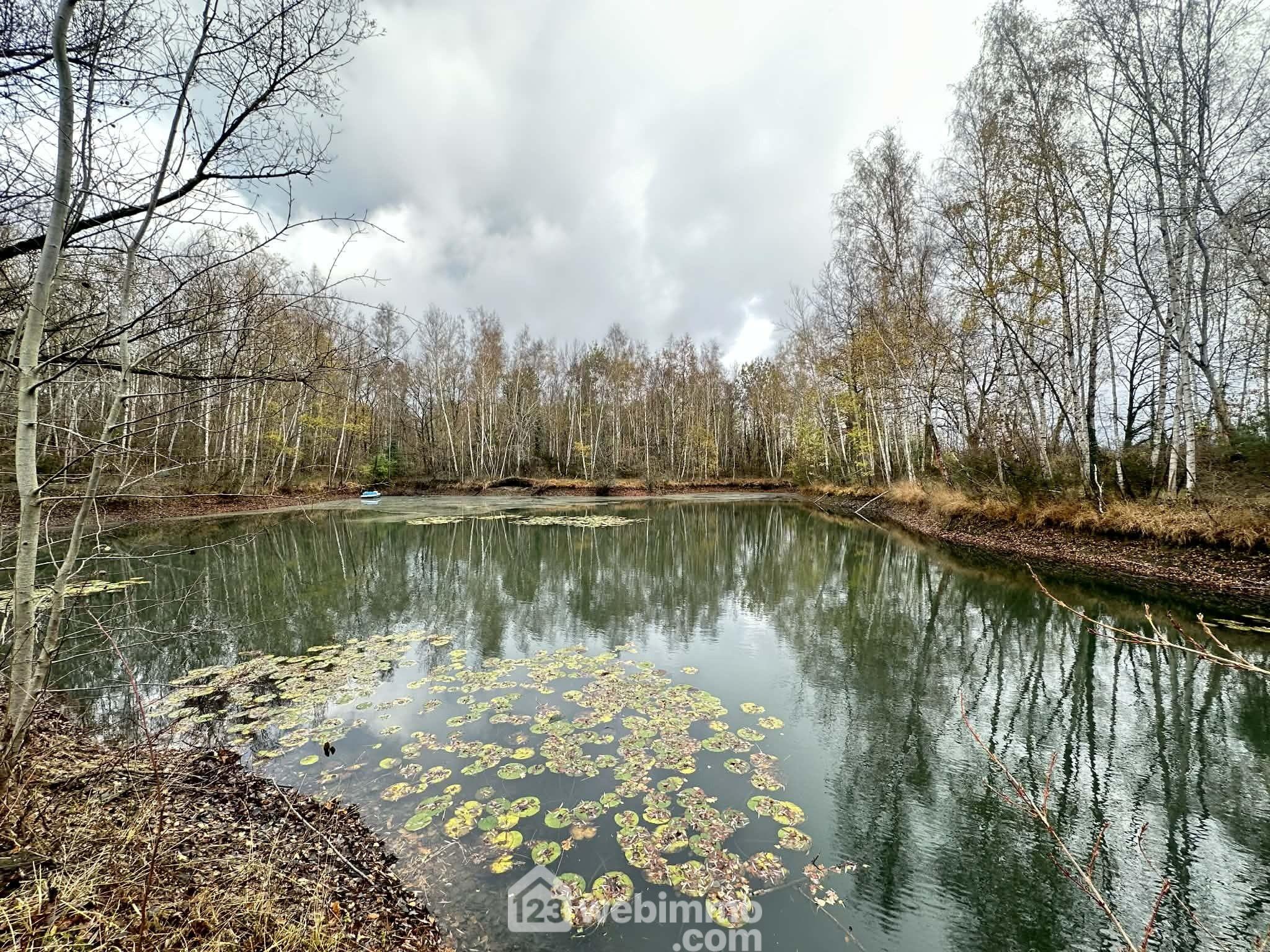 Agence immobilière de 123webimmo.com