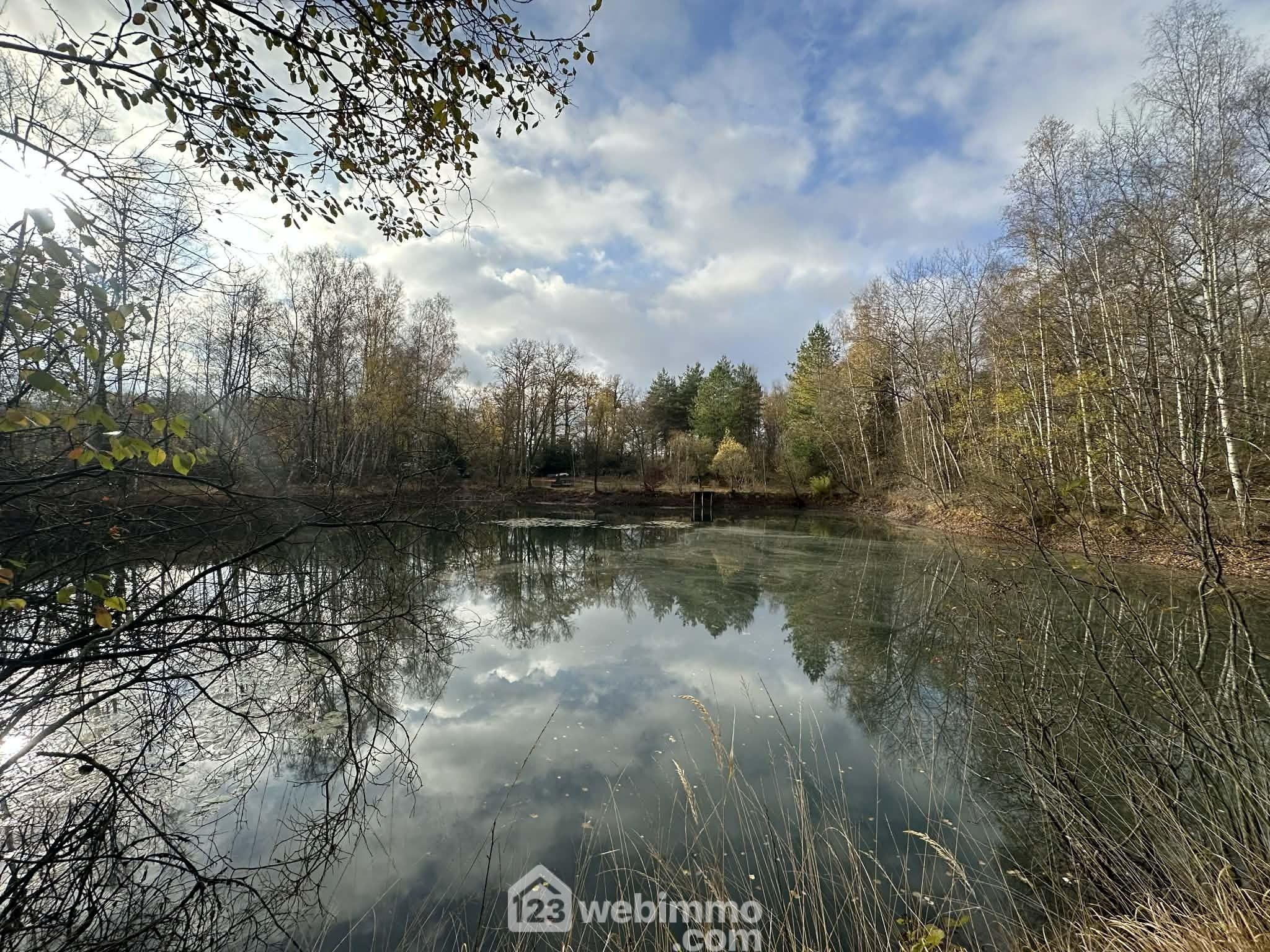 Photo Terrain de loisirs - 10450m² - Étouvelles image 4/4