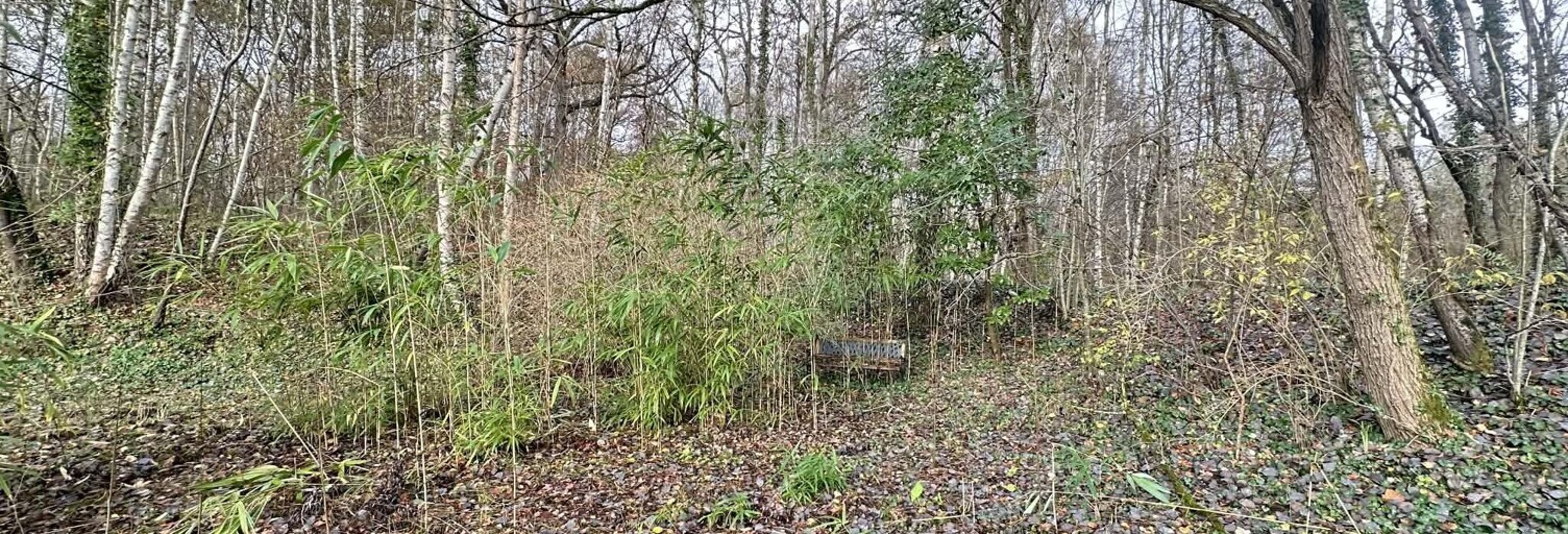 Terrain  10450 m² à vendre à Étouvelles (02000)