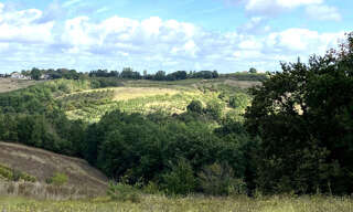 Terrain  1420 m² à vendre à Piquecos (82130)