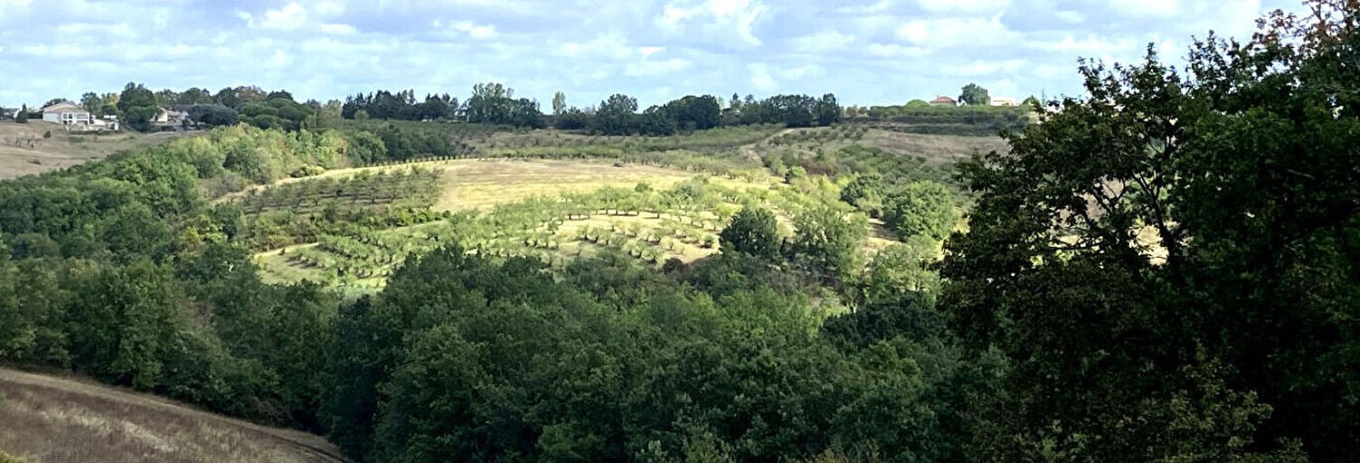 Terrain  1420 m² à vendre à Piquecos (82130)