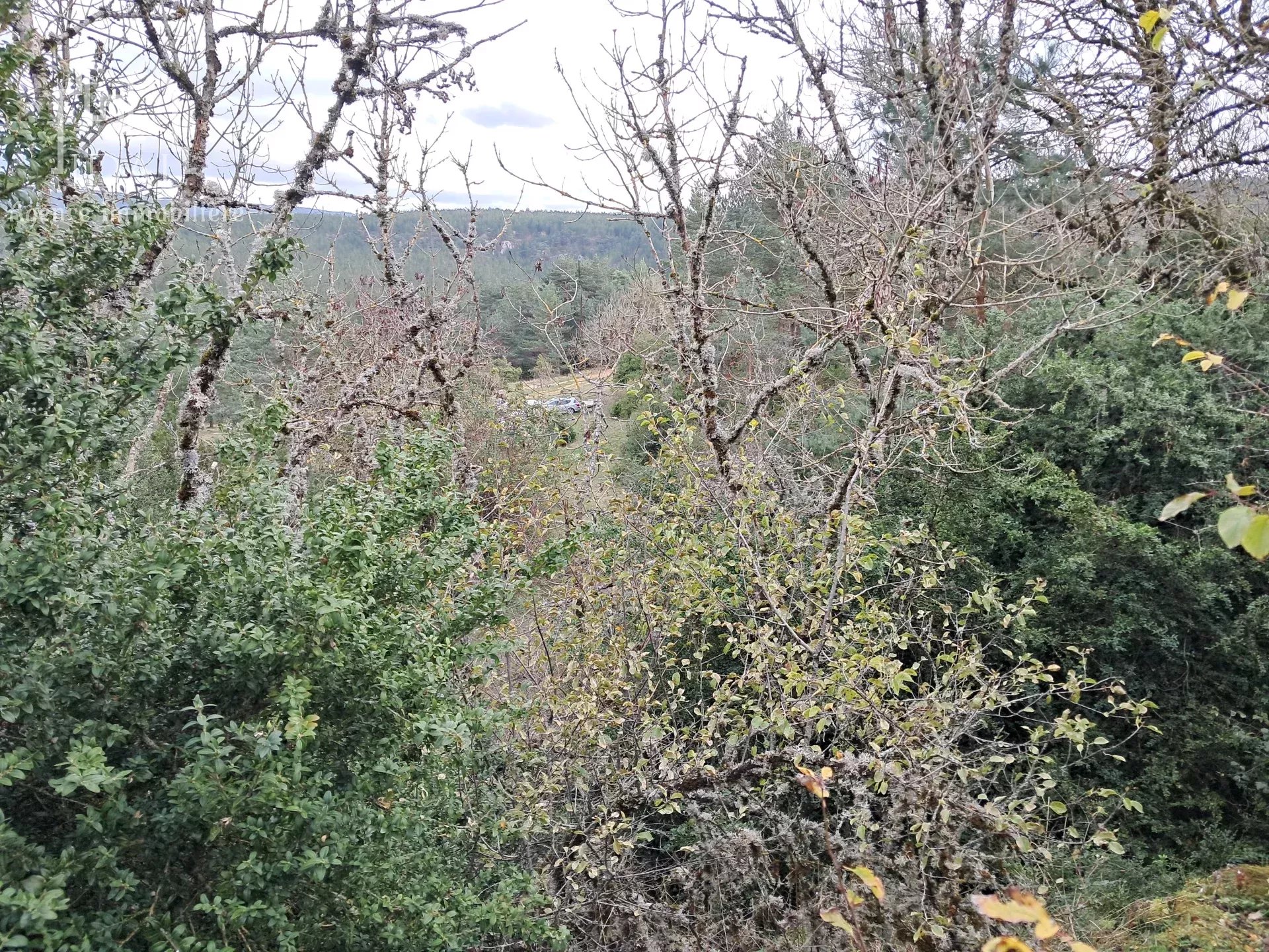 Photo Ancien abri de berger image 4/4