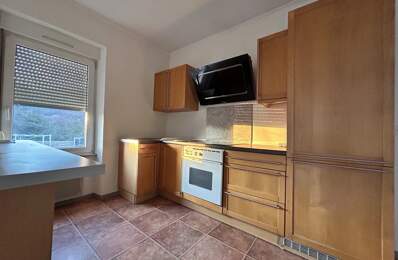Appartement Duplex lumineux à louer à Saint-Dié-des-Vosges — photo du bien