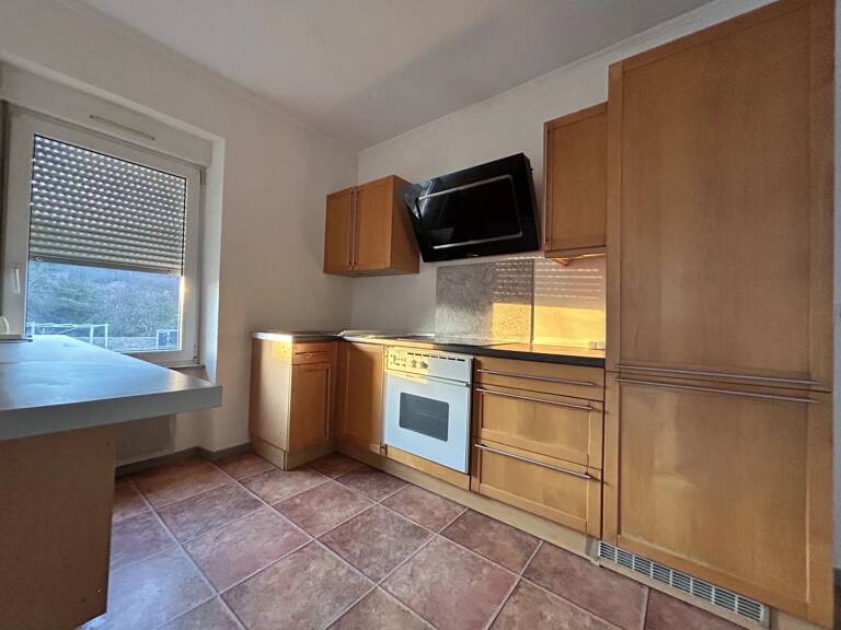 Appartement Duplex lumineux à louer à Saint-Dié-des-Vosges — photo 1