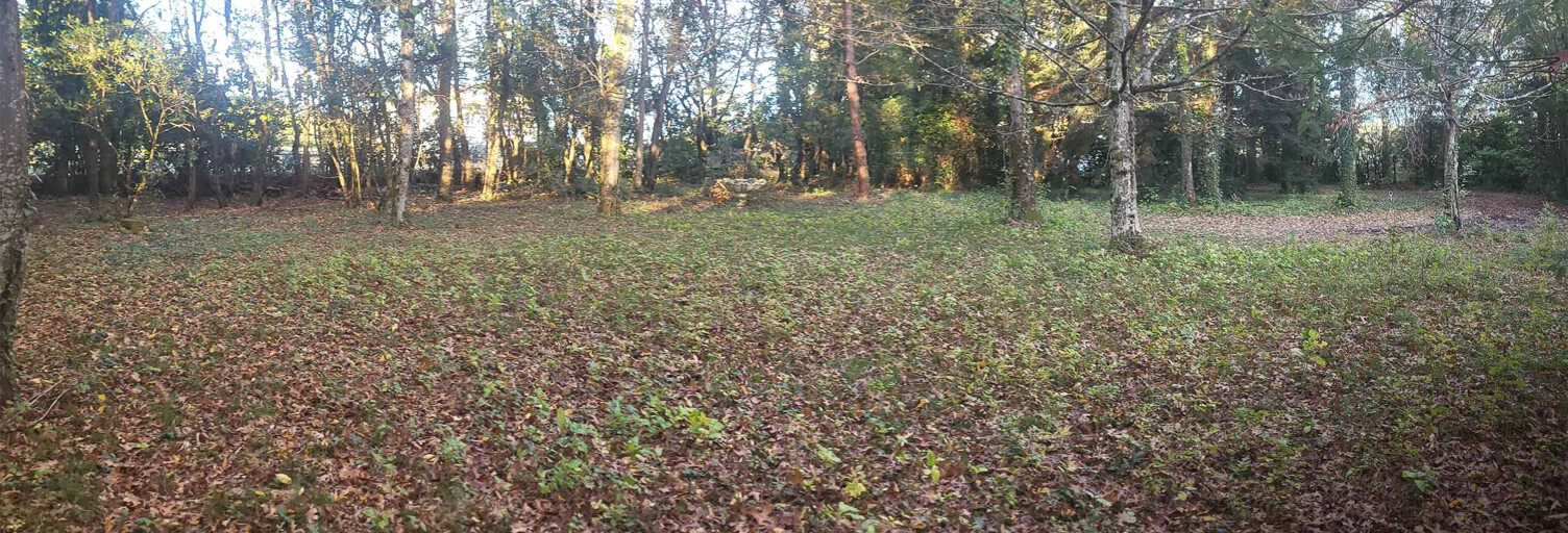 Terrain  1500 m² à vendre à Carignan-de-Bordeaux (33360)