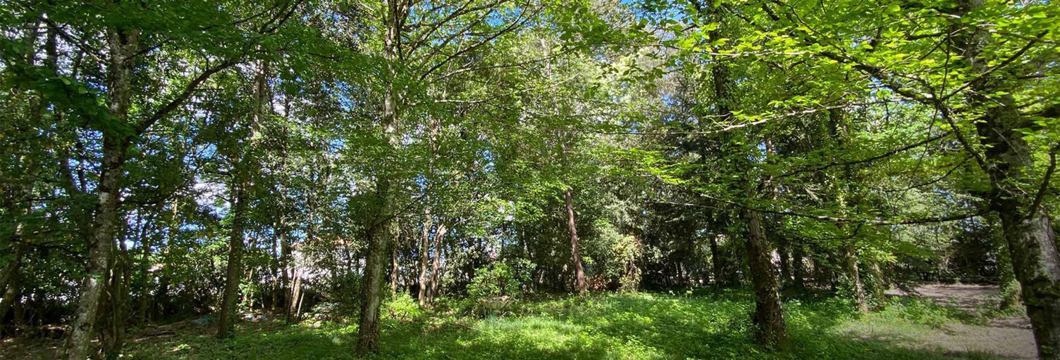 Terrain  1500 m² à vendre à Carignan-de-Bordeaux (33360)