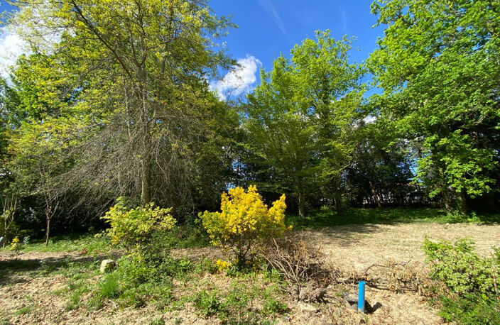 TERRAIN CONSTRUCTIBLE 1500 M2 - PROCHE ECOLES - PISCINABLE — photo 2