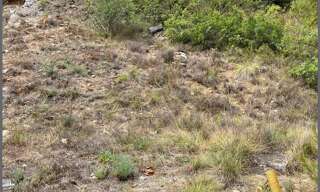 Terrain  651 m² à vendre à Vins-sur-Caramy (83170)