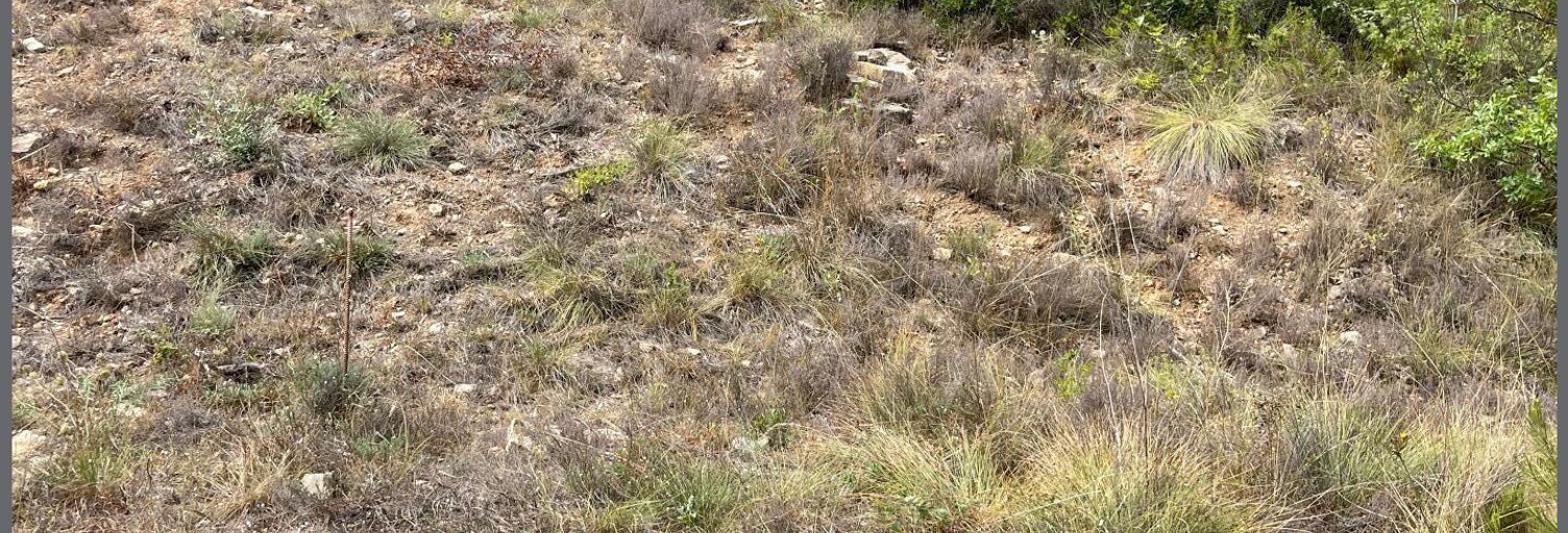 Terrain  651 m² à vendre à Vins-sur-Caramy (83170)