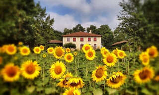 Maison 13 Pièces 400 m² à vendre à Simorre (32420)