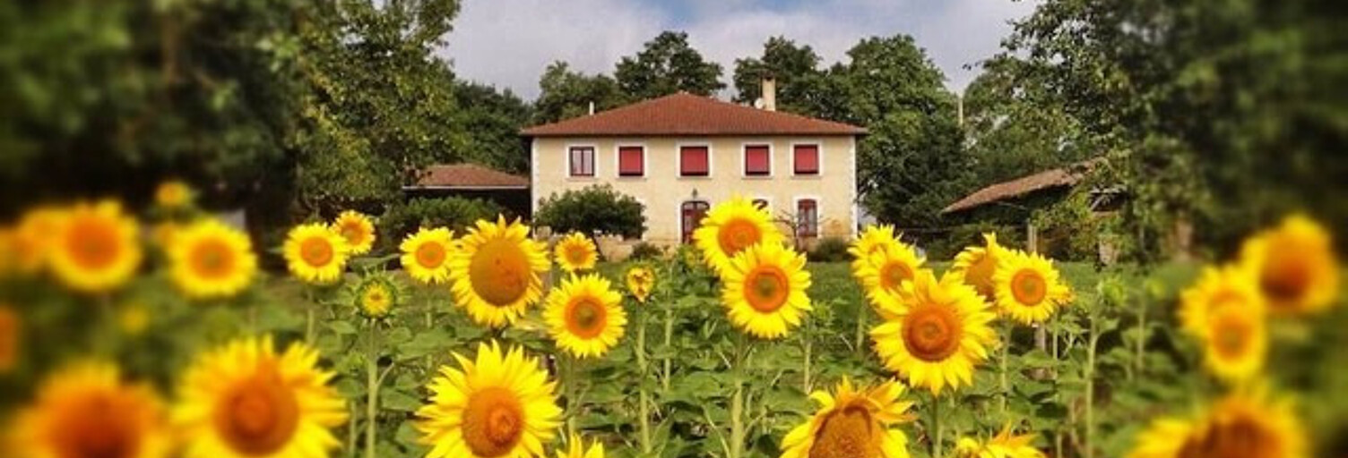 Maison 13 Pièces 400 m² à vendre à Simorre (32420)