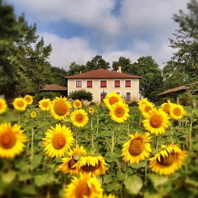 Maison 13 pièces 495000 €