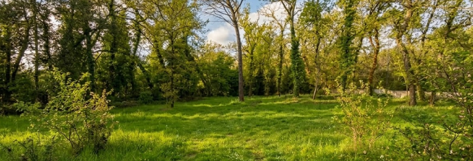 Terrain 1316 m² à construire Opio (06650)