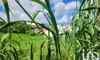 Terrain  1200 m² à vendre à Le Tampon (97430)