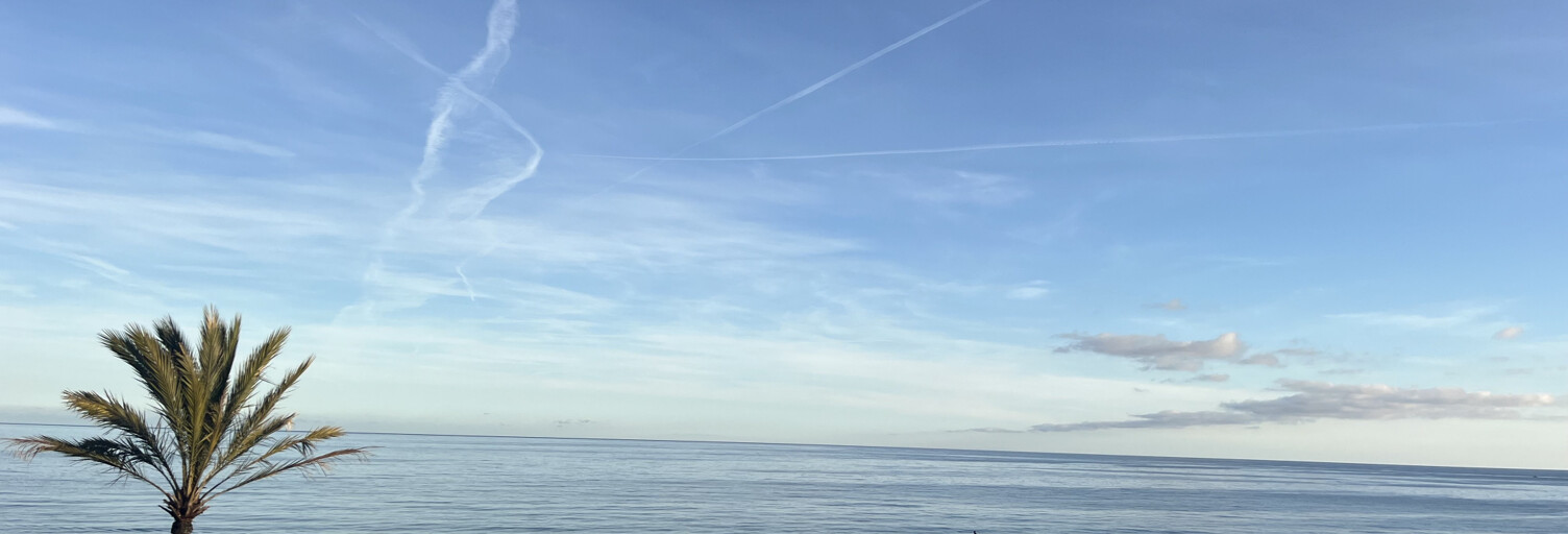 Appartement 1 Pièce 37 m² à vendre à Roquebrune-Cap-Martin (06190)