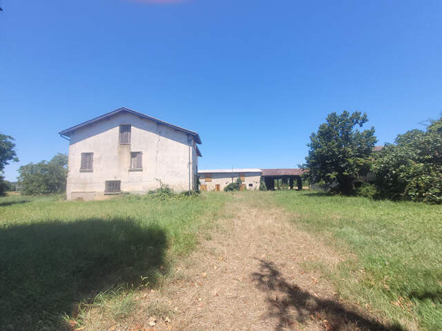 EXCLUSIVITE Propriété agricole Montauban — photo du bien