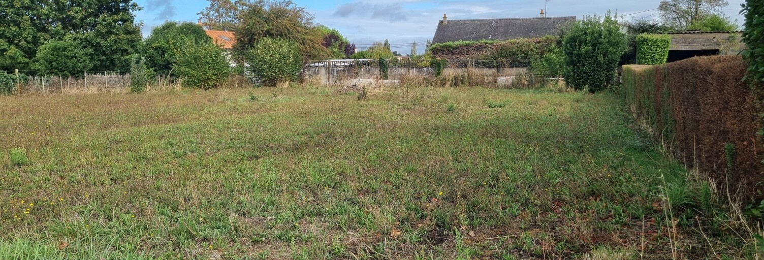 Terrain  1000 m² à vendre à Montreuil-Bellay (49260)